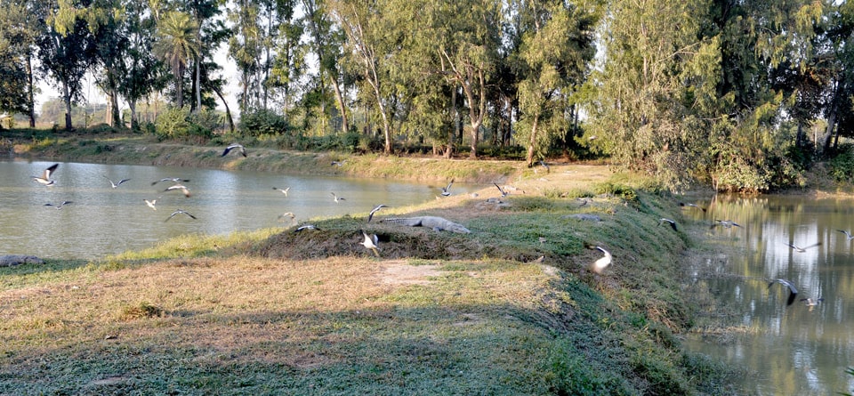 best hotel in kurukshetra